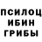 Галлюциногенные грибы мухоморы Daniel Ounaskari