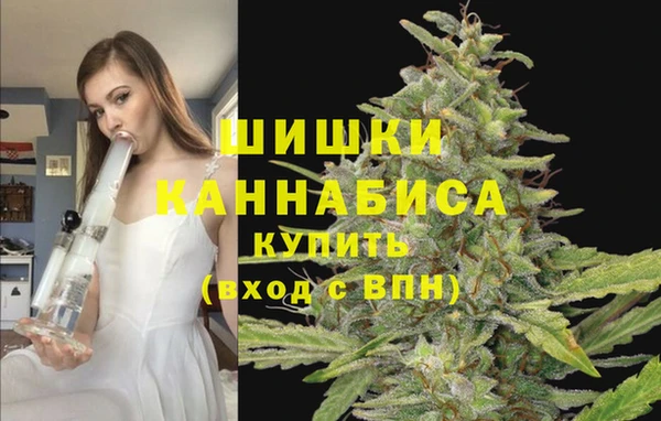 МДПВ Вяземский