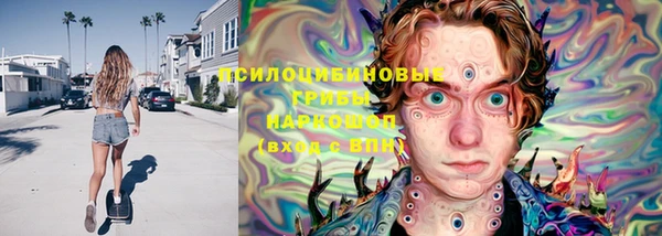 МДПВ Вяземский