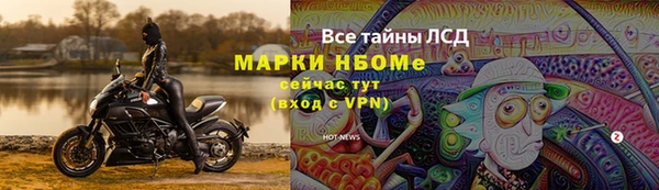 МДПВ Вяземский