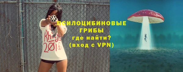 mdpv Рославль
