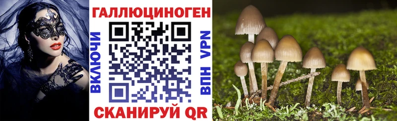 Псилоцибиновые грибы Magic Shrooms  Вышний Волочёк 